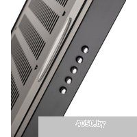 Making Oasis Everywhere PO-60B