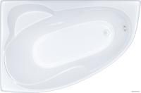 Ванна Triton Изабель 170x100L (с каркасом)