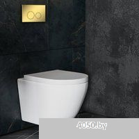 Roxen Antares в комплекте с инсталляцией StounFix Dual Fresh 6 в 1 968011 (кнопка: золото глянцевое