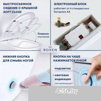 Roxen Turbo 620250-01 с импульсным смывом