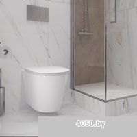 Lauter Longer 2110822 с кнопкой 219702HD (узкая, белый)