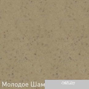 Кухонная мойка Zigmund & Shtain Klassisch 695 (молодое шампанское)