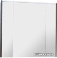Roca Шкаф с зеркалом Roca ZRU9302969