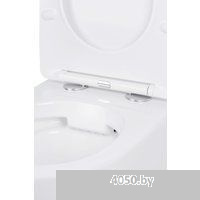 Roxen Antares в комплекте с инсталляцией Asten Readle Zentralmodul AR0601-185W с белой кнопкой