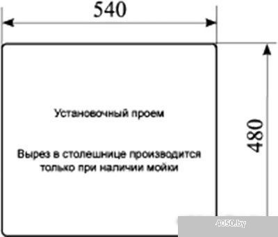 Кухонная мойка Elegrum ES-11 (310)