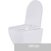 Roxen Antares в комплекте с инсталляцией Asten Readle Zentralmodul AR0601-185W с белой кнопкой