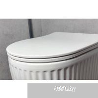 Roxen StounFix Dual Fresh 968297