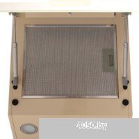 Making Oasis Everywhere NB-60I