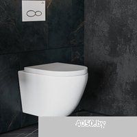 Roxen Antares 530185-02 в комплекте с инсталляцией StounFix Dual Fresh 6 в 1 966055 (кнопка: серый б