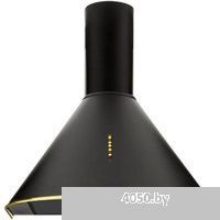 Akpo Dandys 60 WK-4 (черный/золотистый)