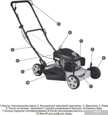 Колёсная газонокосилка Champion LM5127