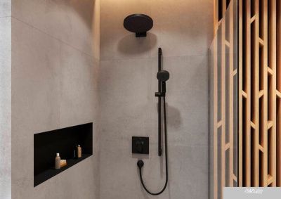Hansgrohe Pulsify 26 24140670