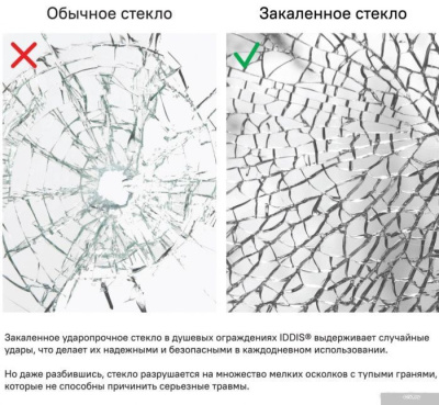 IDDIS Ray RAY6CP8i69