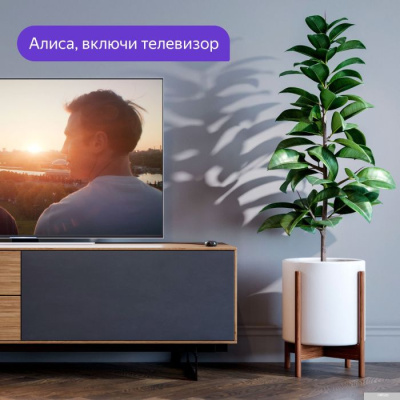 Яндекс YNDX-0006