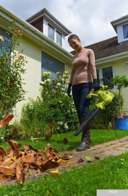 Ручная воздуходувка Ryobi RBV3000CSV