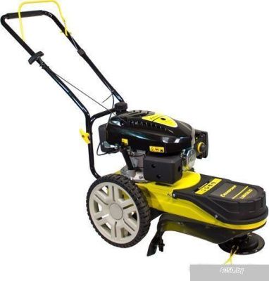 Колёсная газонокосилка Champion LMH5629