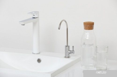 Система обратного осмоса ECOSOFT Absolute с помпой на станине MO550PSECO