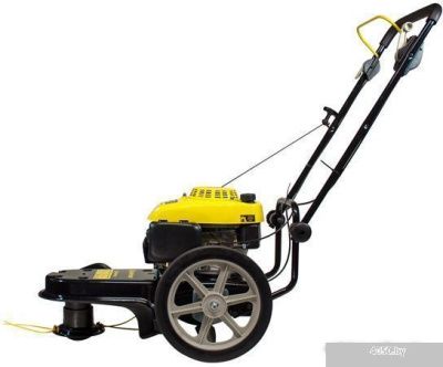 Колёсная газонокосилка Champion LMH5640