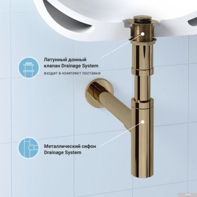 Wellsee Drainage System 182121002 (сифон, донный клапан, золото)