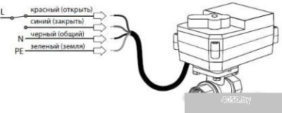 Neptun Bugatti Pro 220В 1