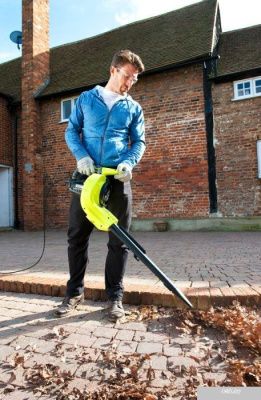 Ручная воздуходувка Ryobi RBV3000CESV