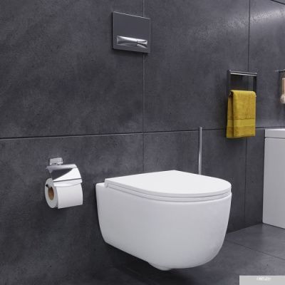 Унитаз Damixa Sirius DX86C1700SC
