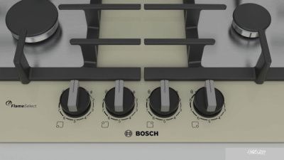 Bosch PPP6A8B91R