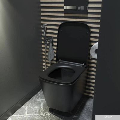 IDDIS Bild BILR2BMi25