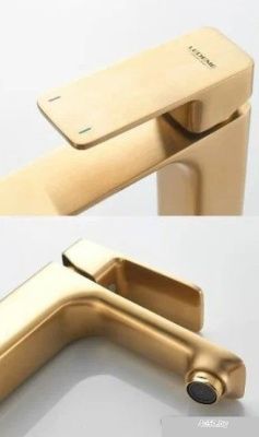 Ledeme L1080Y