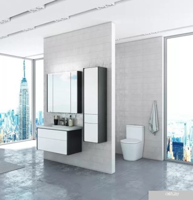 Roca Шкаф с зеркалом Roca ZRU9302969