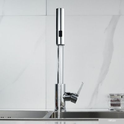 Shevanik S263