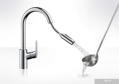 Смеситель Hansgrohe Focus 31815000