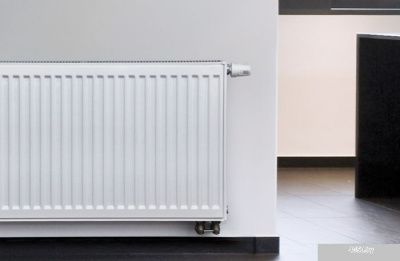 Oasis Pro PB 11-5-06