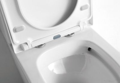 Унитаз CeramaLux B2330