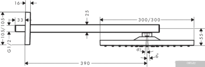 Hansgrohe Raindance E 26238670 (матовый черный)