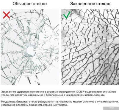 IDDIS Ray RAY6CP8i69