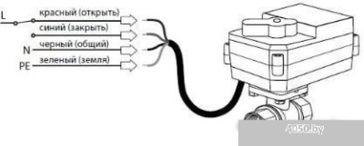 Neptun Bugatti Pro 220В 1/2