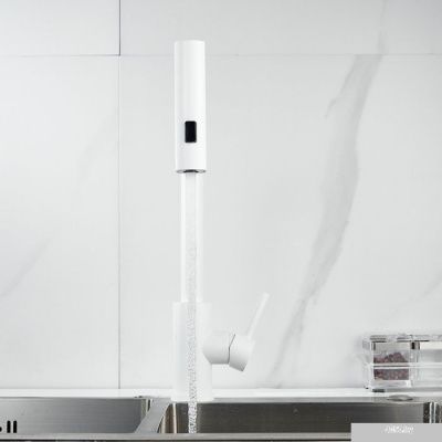 Shevanik S263C