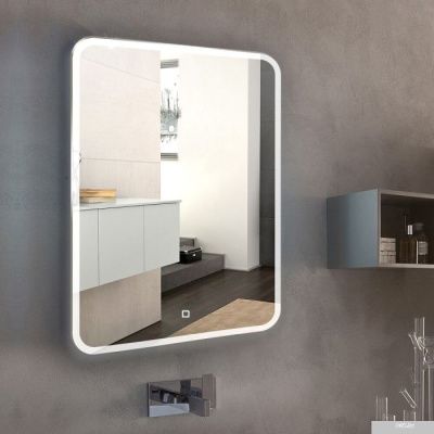 Silver Mirrors Стив 68.5x91.5 ФР-00001480