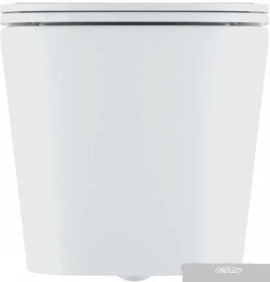 Унитаз IDDIS Bild BILRDSEi25