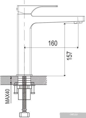 Rose R1001