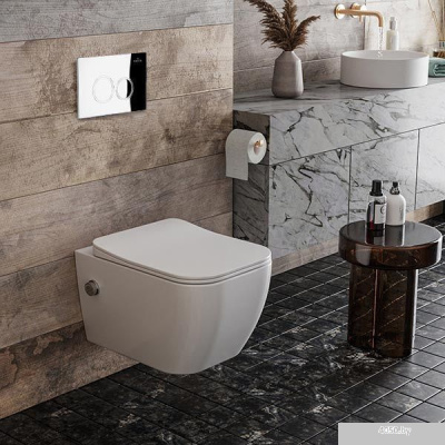 Roxen Cube Bidet One Rimless 6 в 1 StounFix Slim 521082 (кнопка: хром)