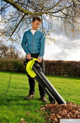 Ручная воздуходувка Ryobi RBV3000CESV