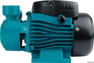 Насос LEO XQm70-1