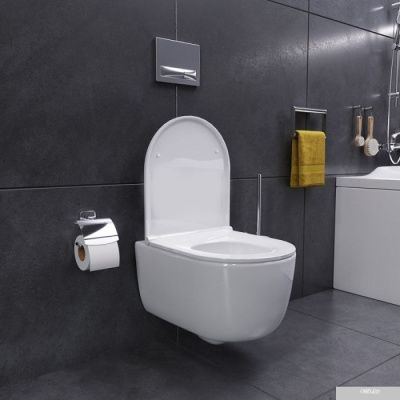 Унитаз Damixa Sirius DX86C1700SC